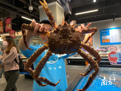 探營盒馬佛山店 二線城市首店落地，本地化策略打造鮮活粵式消費新體驗