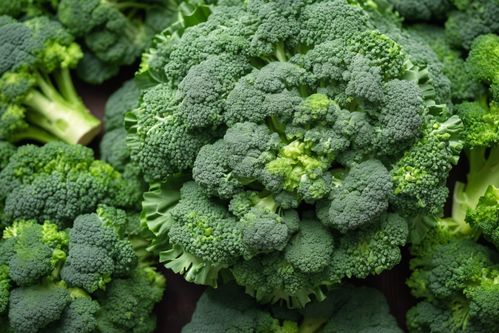 健康餐桌的綠色瑰寶 新鮮西藍花，從農場直達您家